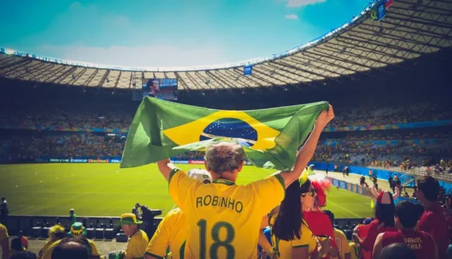 fan holding Brazil flag